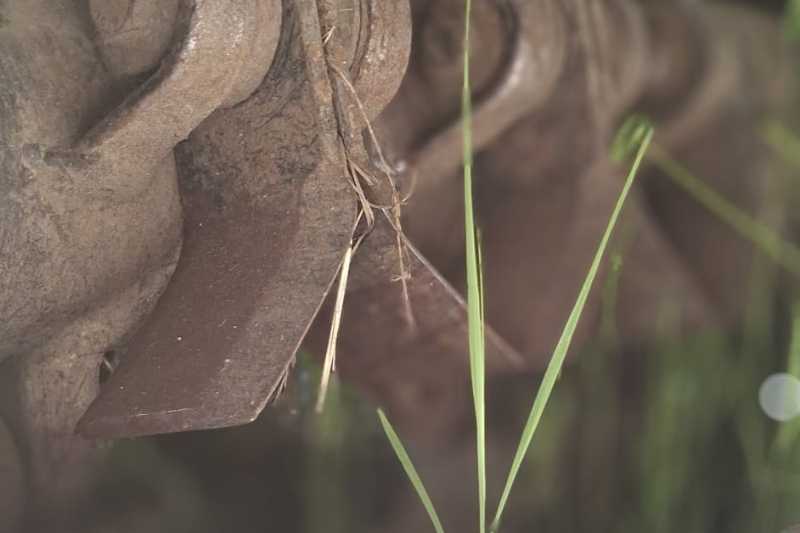 OmecoHub - Immagine MECCANICA CORSETTI TRM